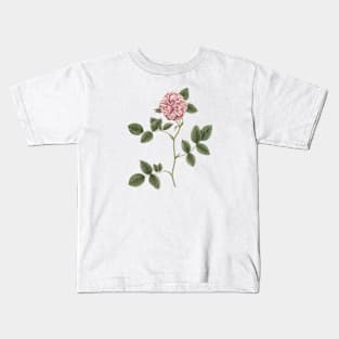 Pink Rose Flower Botanical Illustration Kids T-Shirt